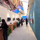 SHOW ME THE 뽑기방 이미지