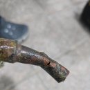 종로대중사우나 이미지