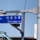 박록주로-3 이미지
