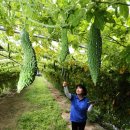 여주-0903 이미지