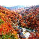 민주지산자연휴양림 이미지