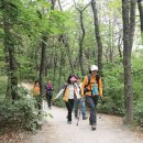 전분세락(轉糞世樂) & ‘누죽걸산’과 ‘나죽집산’ 사자성어? 이미지