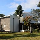 제주오다 이미지