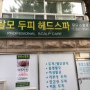 모모스칼프 - 남동구 | 모모스칼프