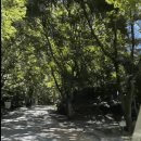 서울대공원 캠핑장 이미지