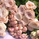 아디엘 | 고속터미널 꽃시장 화훼상가 봄맞이 꽃구매 후기 주차권 오픈시간 가는방법 3층 위치 부자재 생화 판매...