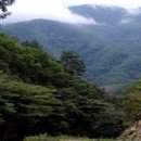 동교