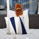 개좋은날 이미지