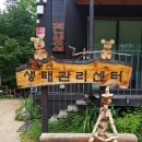 석달열흘가리 이미지