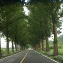 담양여행 이미지