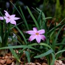 삽재농장 이미지