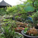 매내골 농장 이미지