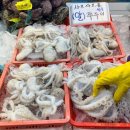 매천로 | 대구 매천수산시장 알쭈꾸미 샤브샤브 회센터 이용 후기
