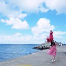 이호발전소 이미지