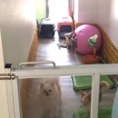 베아체 미용실