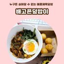 배고픈덮밥이 - 서초구 서초대로 357 | 배고픈덮밥이