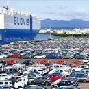 한국카밧데리 이미지