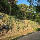 상당산성 이미지