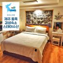 스테이 수산 | 제주 동쪽 가성비 숙소 스테이수산 일주일살기 딱인 감성숙소