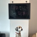 태학산녹색마을 이미지