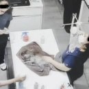 숲속동물병원 이미지