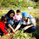 상호리마을 이미지