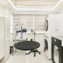 멍도레 애견미용실 이미지