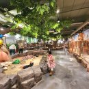 4396 | 경기도 안성 평택 실내동물원 키즈카페 쥬쥬핑월드 할인