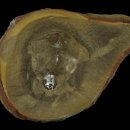 CW-2176-01 이미지