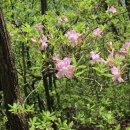 상천리-3 이미지