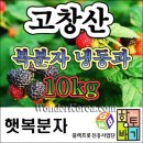 청수유기농장 이미지