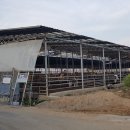 희둘영목장 이미지