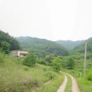 충주시 산척면 관리지역200평 매가4500만원 이미지