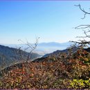 곡성-025 Daum카페