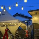 노원-공릉-3296 | 서울여대 화랑대 맛집ㅣ오스테리아 잭팟 프라이빗룸