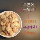 엔조이프로틴 이미지