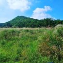 동백목장2 이미지