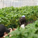 성희농장 이미지