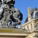 파리세탁 이미지