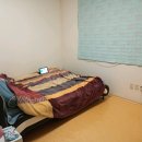 화북종합시장 이미지