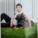 독(DOG)도 이미지