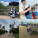 리온이의 여름가정연계 이미지