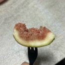 팡팡과일 | 최애 여름과일 과즙 팡팡 영암 생무화과 후기/ 무화과 효능/ 무화과 칼로리