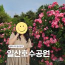 메가커피일산가로수길점 | 일산호수공원 주차꿀팁 자전거 대여 위치 가족나들이 일상일기