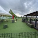 챔피언켄넬 이미지