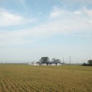 스테이 노네 | [스테이노네]김제 대형견 환영 드넓은 논밭뷰 반려견 동반 독채 펜션