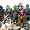 해병농장 이미지