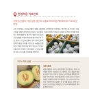 법인오누이