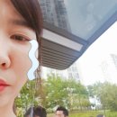 홀리카홀리카이수점 | 고터 강남 신세계백화점 빵집 (더메나쥬리, 폴310, 이흥용 과자점, 에꼴드크루아상)