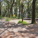 싸리골약수터 이미지